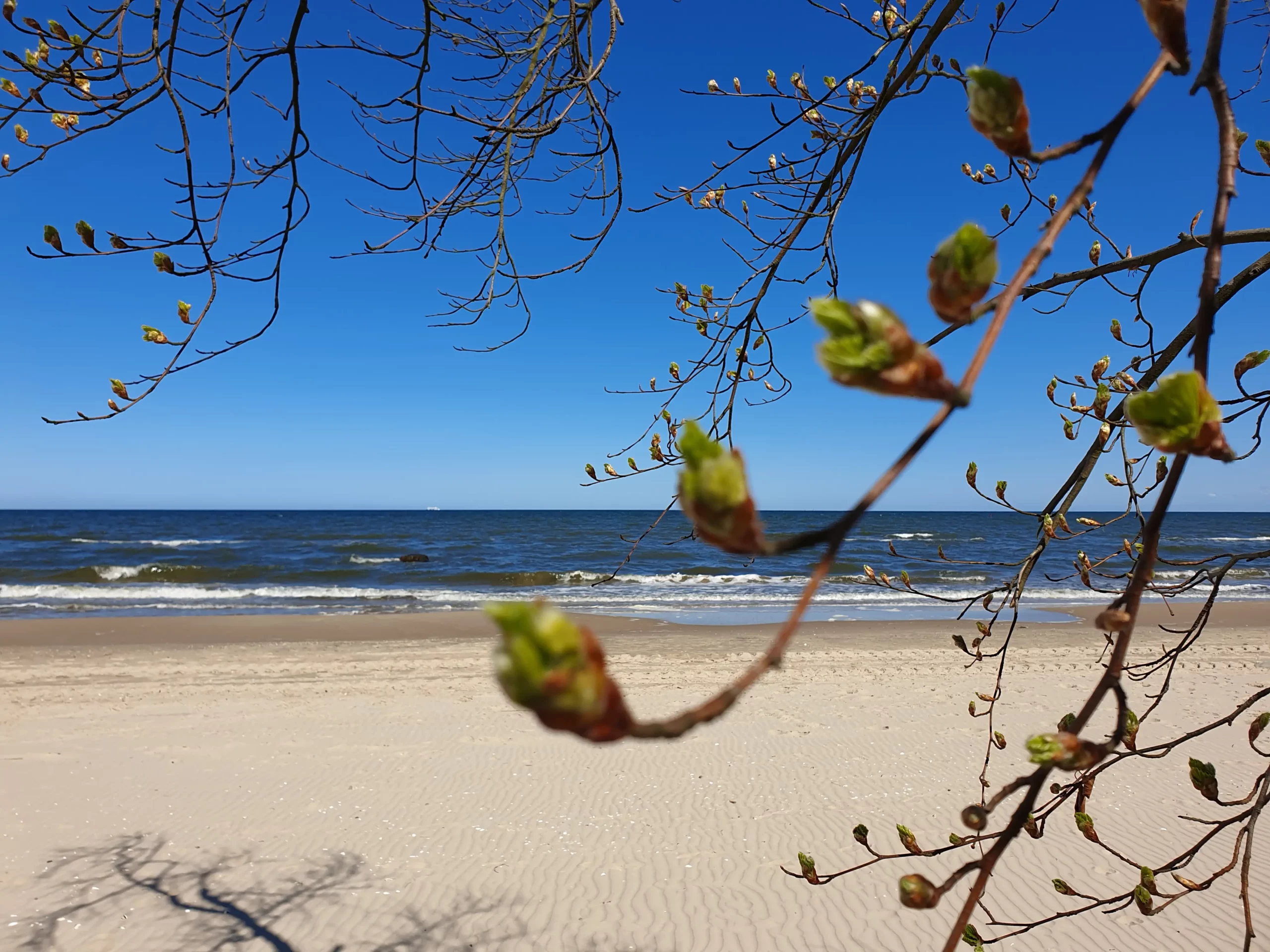 Frühling am Strand